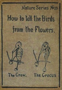 Cover of How to Tell the Birds from the Flowers: A Manual of Flornithology for Beginners — Story, Setting & Ideas